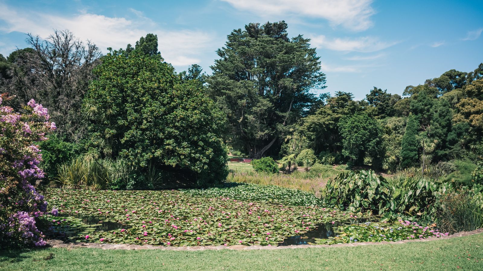 Botanical Garden Walks