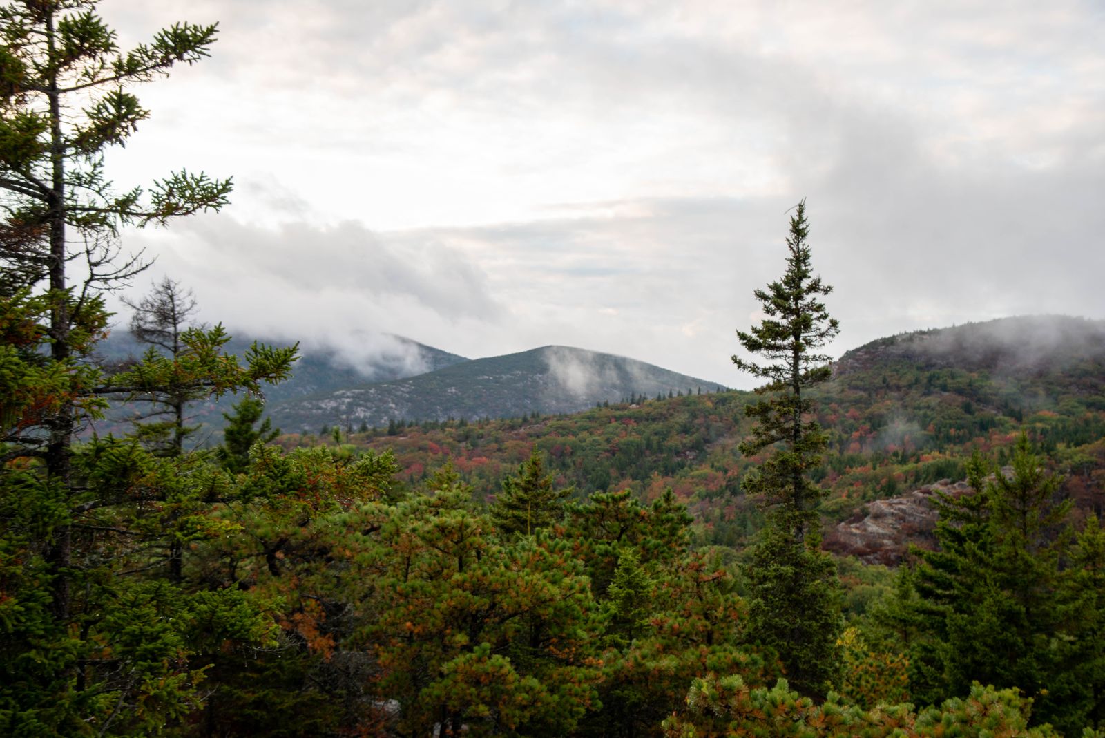 Guided Hikes